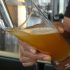 Quel est l’intérêt d’avoir une tireuse à bière chez soi